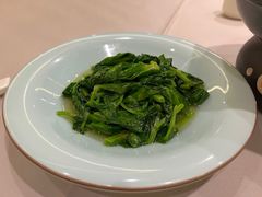 清炒豆苗-贵州大厦贵州厅(樱花园西街店)