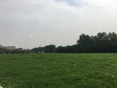 -长春世界雕塑园冰雪艺术天地