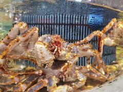 -顺风山庄(水濂山店)