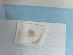 -美美宠物诊疗中心·异宠·骨科(滨江东信分院)