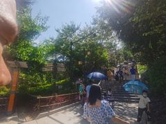 -神光山国家森林公园