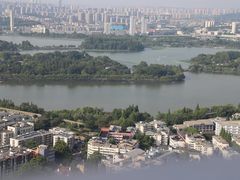 -紫峰大厦