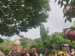 -枫香湖儿童公园