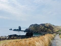 -涉地可支
