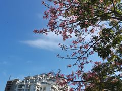 -明谷行馆·温泉