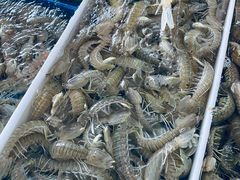 -南沙十九涌渔人码头-南门