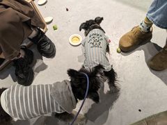-瑞虹新天地月亮湾