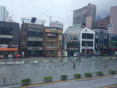 景观位-古来思鱼饼