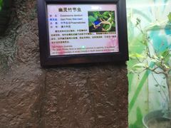 -上海大自然野生昆虫馆(东方明珠·爬宠昆虫探索中心)