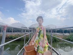 -马陆小张葡萄园农家乐