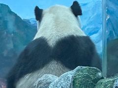 -武汉动物园