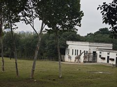 -合肥野生动物园