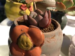 -花十悦·鲜花咖啡餐厅(振业城一期店)