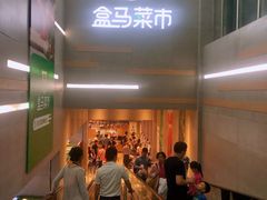 -盒马鲜生(红莲店)