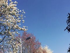 -凤凰沟景区