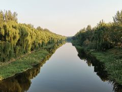 景点-东郊湿地公园