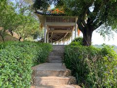 -西樵山风景名胜区-天湖公园