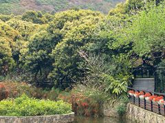 -月亮湾公园