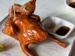 非遗红烧乳鸽-侨美·唐荔园·40年地道粤菜