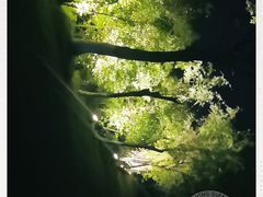 -艾溪湖湿地公园