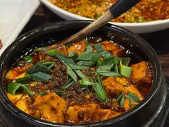 -陈麻婆豆腐(旗舰店)