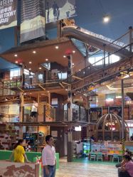 点击看大图 -卡通尼·Safari非洲探索乐园·生日会(金桥国际商业广场店)