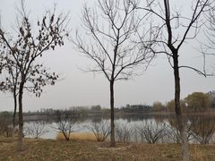 -东郊湿地公园