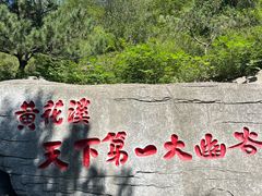-黄花溪