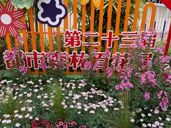 -上海共青森林公园