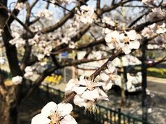 -玲珑塔公园