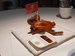 -侨美食家·41年地道粤菜(恒福路店)