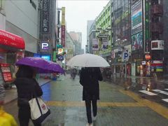 -涩谷区