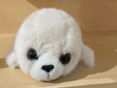 -蓬莱欧乐堡海洋极地世界