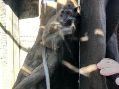 -卡塞拉自然公园