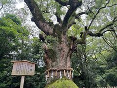 -热田神宫