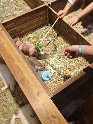 -酷嗒动物文化乐园(cutezoo西溪乐天城店)