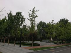 -北京化工大学(东校区)