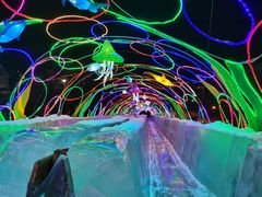 -沈阳奥体冰雪嘉年华