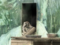 -成都动物园