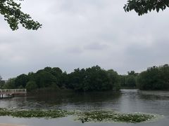 -新江湾城公园