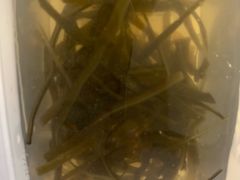 海带汤-壹德壹(锦都店)