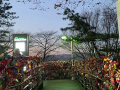 -神仙雪浓汤(明洞店)