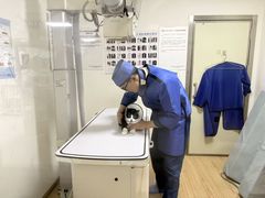 -谐和贝康宠物医院24小时·宠保定点(急重症转诊中心)