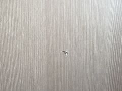 -极致味道动物奶油生日蛋糕(时尚店)