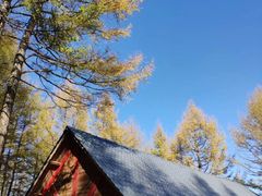 -塞罕坝国家级自然保护区