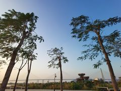 -芒洲湿地公园