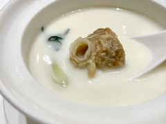 杏汁炖白肺-御彩酒家(东风东路店)