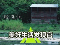 -华侨城湿地公园