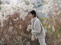 -新江湾城公园