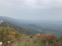 -紫金山天文台
